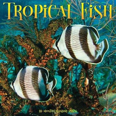 Cover for Willow Creek Press · Tropical Fish 2024 12 X 12 Wall Calendar (Kalender) (2023)