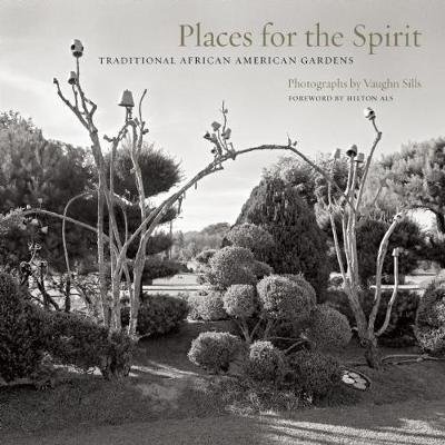 Places for the Spirit: Traditional African American Gardens -  - Bøger - Trinity University Press,U.S. - 9781595340641 - 16. september 2010