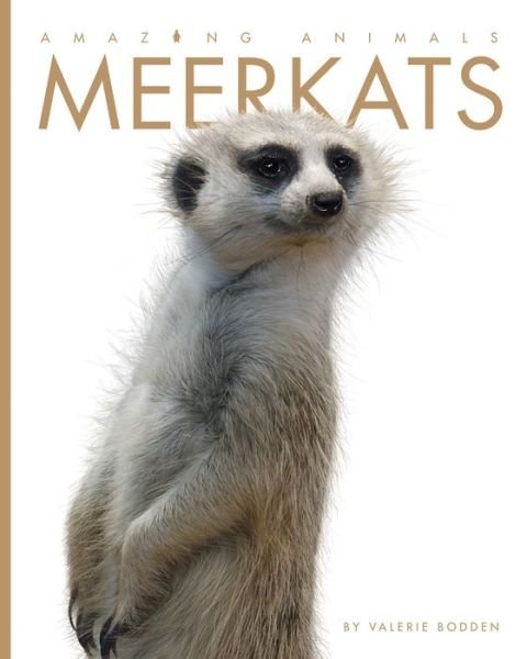 Cover for Valerie Bodden · Amazing Animals Meerkats (Bog) (2017)