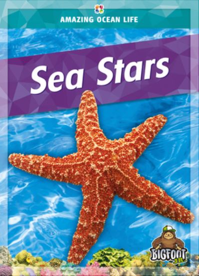 Cover for Colleen Sexton · Sea Stars (Book) (2023)