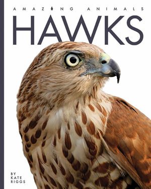 Cover for Kate Riggs · Hawks (Book) (2022)
