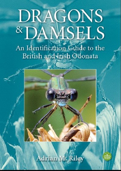 Cover for Adrian Riley · Dragons and Damsels: An identification guide to the British and Irish Odonata (Pocketbok) (2020)