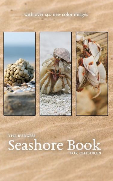 The Burgess Seashore Book with new color images - Thornton Burgess - Książki - Living Book Press - 9781922634641 - 1 kwietnia 2022