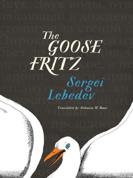 Cover for Sergei Lebedev · The Goose Fritz (Paperback Book) (2019)