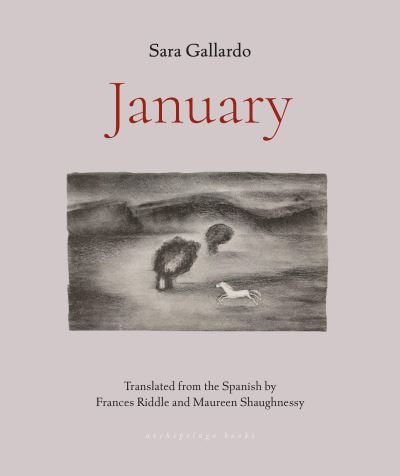 January - Sara Gallardo - Books - Archipelago Books - 9781953861641 - October 24, 2023