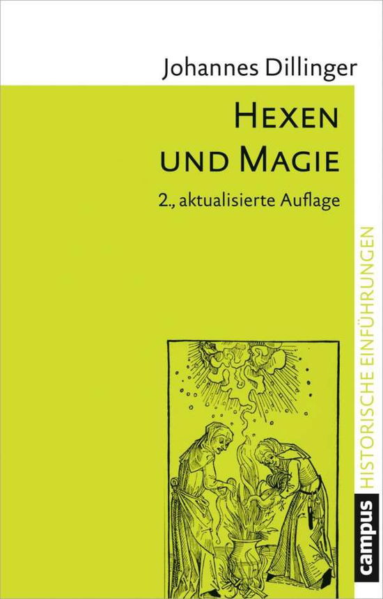 Hexen und Magie - Dillinger - Bøger -  - 9783593508641 - 