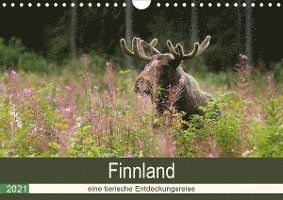 Cover for Wünsch · Finnland: eine tierische Entdeck (Book)