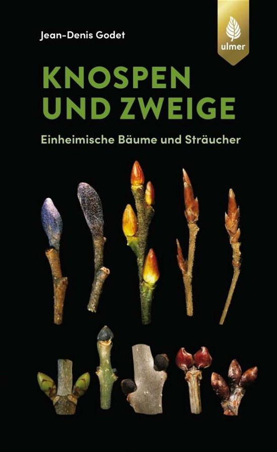 Cover for Godet · Knospen und Zweige (Bok)