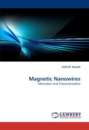 Cover for Kafil M. Razeeb · Magnetic Nanowires: Fabrication and Characterisation (Paperback Book) (2010)