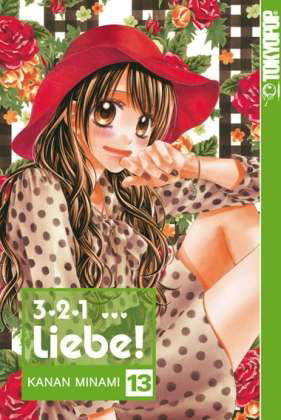 Cover for Minami · 3,2,1 Liebe!13 (Book)