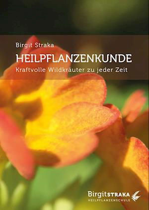 Cover for Birgit Straka · Heilpflanzenkunde (Book) (2021)