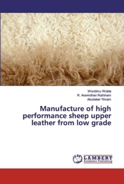Cover for Wolde · Manufacture of high performance s (Bok) (2019)
