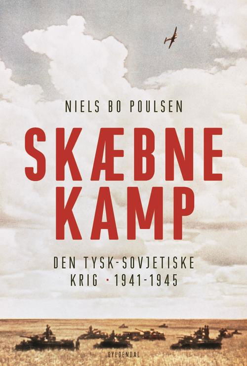 Cover for Niels Bo Poulsen · Skæbnekamp (Innbunden bok) [1. utgave] (2016)