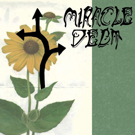 Miracle Debt · Under the Shadow (LP) (2024)