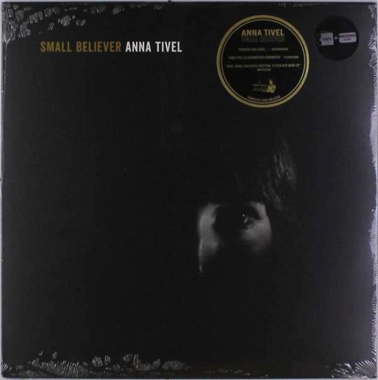 Cover for Anna Tivel · Small Believer (LP) (2017)