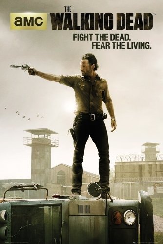 Cover for Walking Dead the · Poster (53r) the Walking Dead (MERCH)