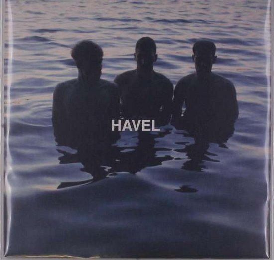 Cover for Fjaak · Havel (LP) (2019)