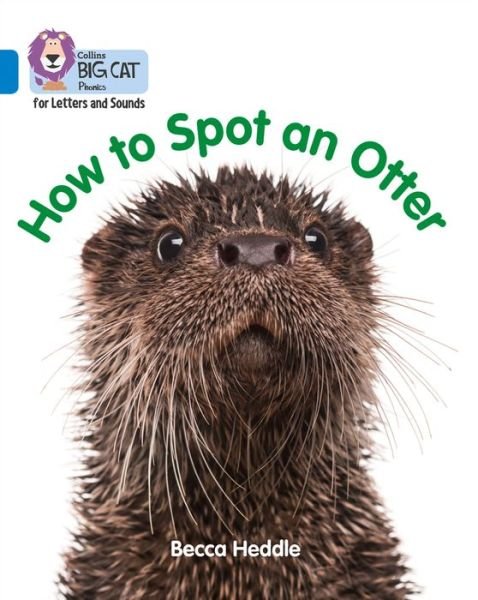 Cover for Becca Heddle · How to Spot an Otter: Band 04/Blue - Collins Big Cat Phonics for Letters and Sounds (Paperback Book) (2018)