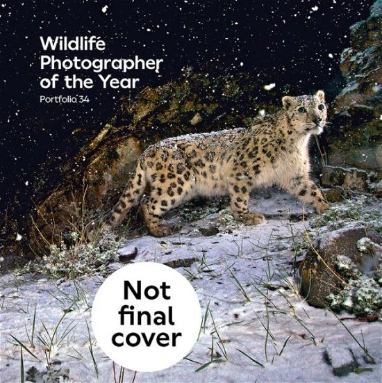 Cover for Natural History Museum · Wildlife Photographer of the Year: Portfolio 34 (Inbunden Bok) (2024)