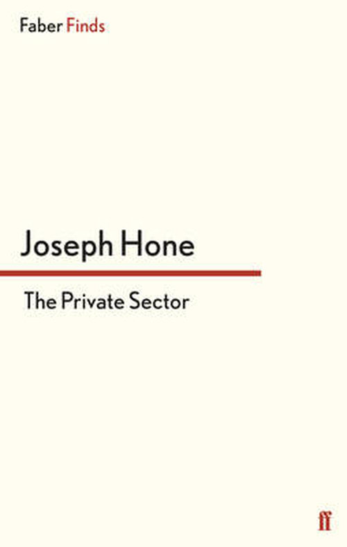 Cover for Joseph Hone · The Private Sector - A Peter Marlow spy thriller (Paperback Book) [Main edition] (2014)