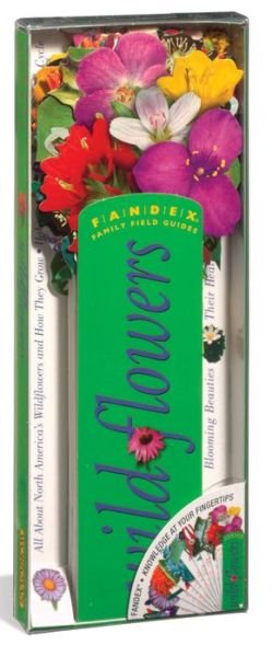 Fandex Family Field Guides: Wildflowers - Ruth Rogers Clausen - Książki - Workman Publishing Company - 9780761114642 - 1 września 1999