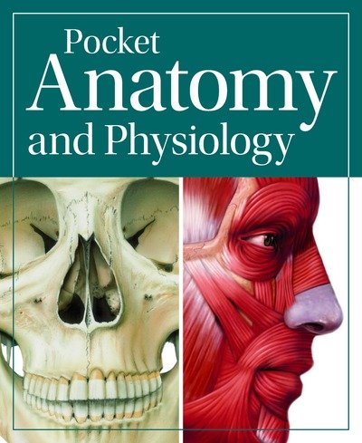 Cover for Ken Ashwell · Pocket Anatomy &amp; Physiology (Paperback Book) (2016)