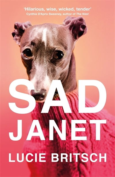 Cover for Lucie Britsch · Sad Janet: A darkly hilarious novel about finding happiness in time for Christmas (Inbunden Bok) (2020)