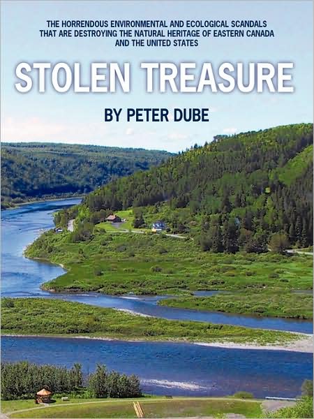 Cover for Peter Dube · Stolen Treasure: the Horrendous Environmental and Ecological Scandals That Are Destroying the Natural Heritage of Eastern Canada and Th (Paperback Book) (2009)