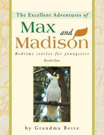 The Excellent Adventures of Max and Madison: Bedtime Stories for Youngsters - Grandma Bette - Books - Balboa Press - 9781452572642 - June 18, 2013