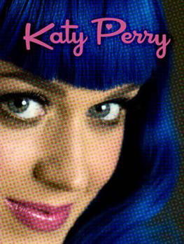 Cover for Katy Perry (Bok) (2014)