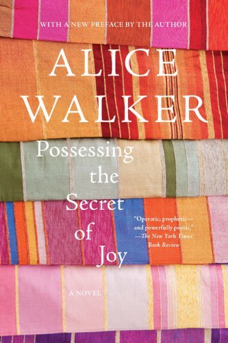Cover for Alice Walker · Possessing the Secret of Joy: a Novel (Pocketbok) (2008)