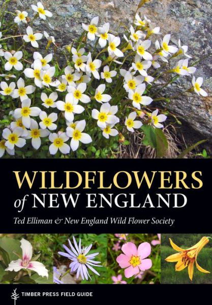 Wildflowers of New England - Ted Elliman - Bücher - Timber Press - 9781604694642 - 24. Februar 2016