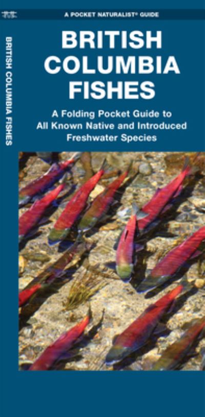 Cover for Matthew Morris · British Columbia Fishes: A Folding Pocket Guide to All Known Native and Introduced Freshwater Species - Pocket Naturalist Guide (Pamphlet) (2021)