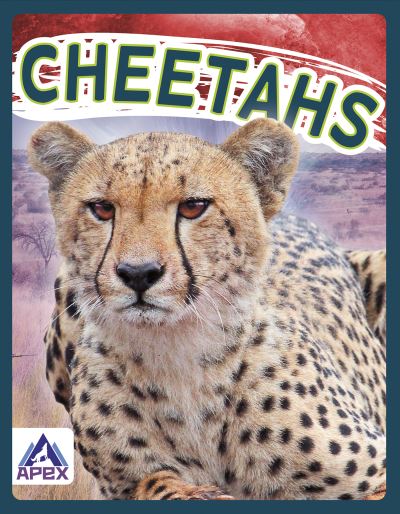 Cover for Sophie Geister-Jones · Cheetahs - Wild Cats (Paperback Book) (2021)