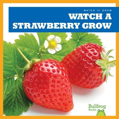 Cover for Kirsten Chang · Watch a Strawberry Grow (Hardcover Book) (2019)