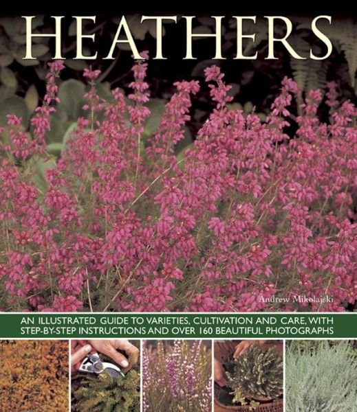 Cover for Andrew Mikolajski · Heathers: An Illustrated Guide to Varities, Cultivation and Care, with Step-by-step Instructions and Over 160 Beautiful Photographs (Paperback Book) (2013)