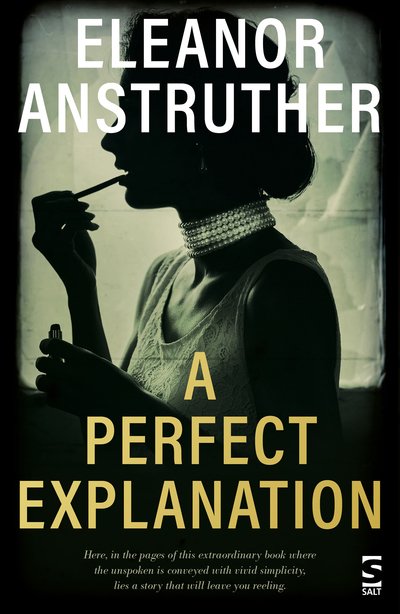 Cover for Eleanor Anstruther · A Perfect Explanation - Salt Modern Fiction (Pocketbok) (2019)