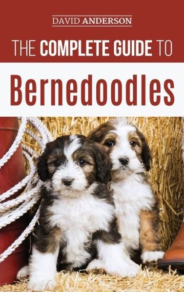Cover for David Anderson · The Complete Guide to Bernedoodles (Inbunden Bok) (2018)