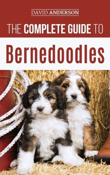 The Complete Guide to Bernedoodles - David Anderson - Books - LP Media Inc. - 9781952069642 - February 19, 2018