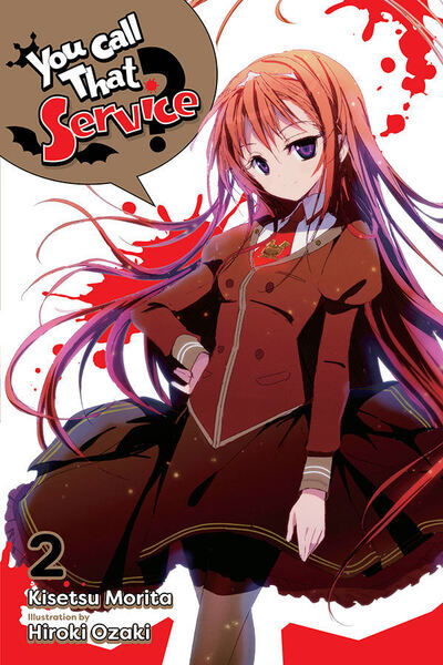 Cover for Kisetsu Morita · You Call That Service?, Vol. 2 (light novel) - YOU CALL THAT SERVICE LIGHT NOVEL SC (Taschenbuch) (2020)