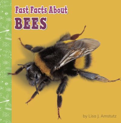 Cover for Lisa J. Amstutz · Fast Facts About Bees (Paperback Book) (2021)