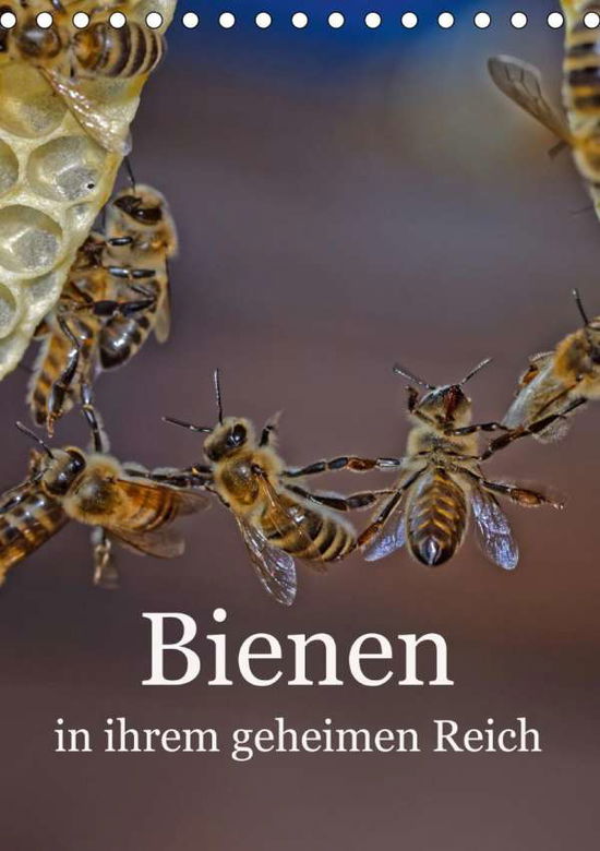 Cover for Bangert · Bienen in ihrem geheimen Reich (Book)