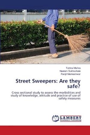 Cover for Mishra · Street Sweepers: Are they safe? (Book) (2020)