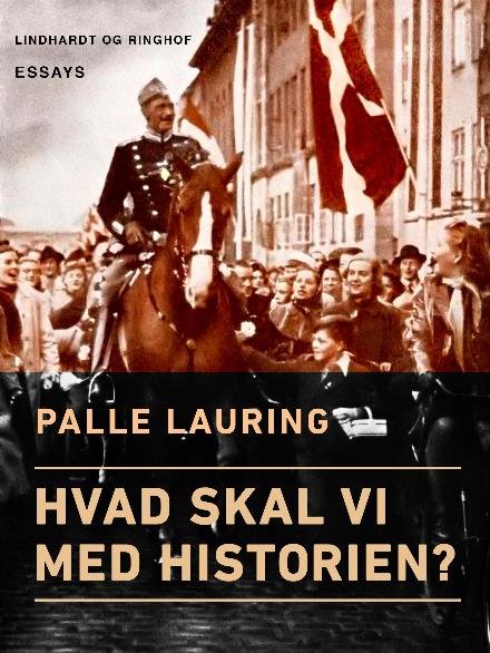 Cover for Palle Lauring · Hvad skal vi med historien? (Sewn Spine Book) [2e uitgave] (2017)
