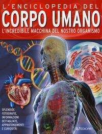 Cover for Miles Kelly · Enciclopedia Del Corpo Umano (DVD)