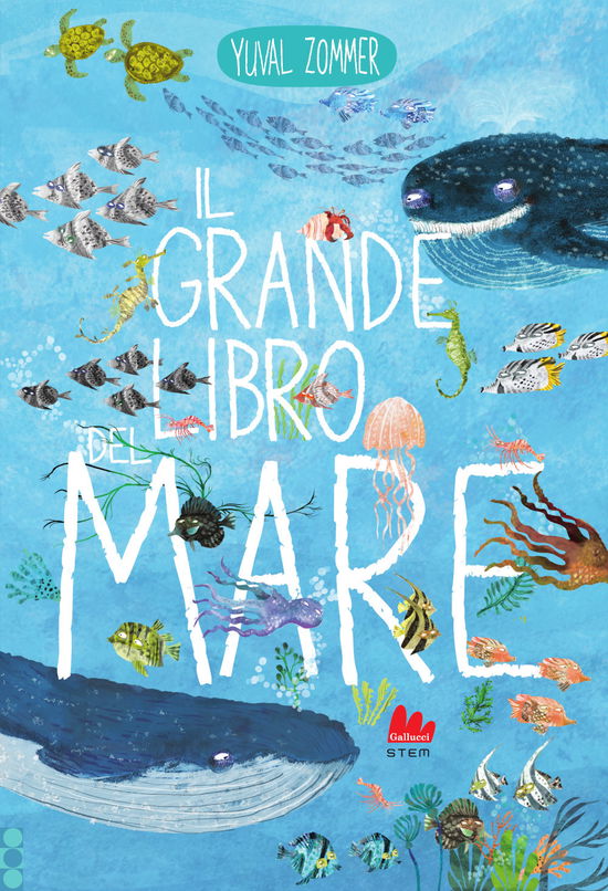 Cover for Yuval Zommer · Il Grande Libro Del Mare. Ediz. A Colori (Book)