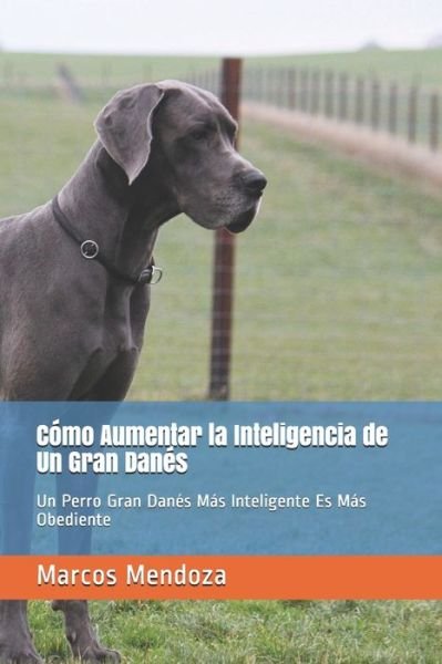 Cover for Marcos Mendoza · Como Aumentar la Inteligencia de Un Gran Danes: Un Perro Gran Danes Mas Inteligente Es Mas Obediente (Paperback Bog) (2021)