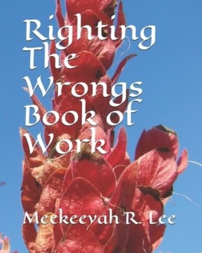 Cover for Meekeeyah R Lee · Righting The Wrongs Book of Work (Pocketbok) (2021)