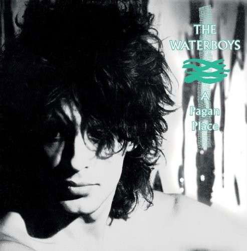 Cover for The Waterboys · A Pagan Place (LP) [Remastered edition] (2014)