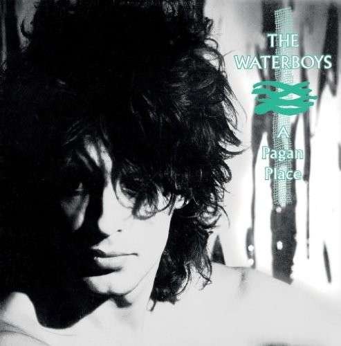 Cover for Waterboys · A Pagan Place (LP) [Remastered edition] (2014)